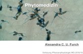 Phytomedizin - schleiden.uni-jena.deBotanik/Pflanzenphysiologie/... · •Bevölkerungswachstum in Entwicklungsländern •Verluste durch Krankheiten und Klima •Qualitätsprobleme