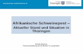 Afrikanische Schweinepest - schwarzwild-hainich.de ·  Afrikanische Schweinepest (ASP) Ätiologie Klinik Übertragung Verbreitung Maßnahmen, Situation in Thüringen