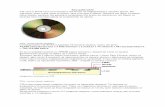 Как работиCD CD-тата и DVD-тата са основните носители на ...šак-работиCD.pdf · Ето защо с изместване на лъча