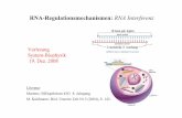 RNA-Regulationsmechanismen: RNA Interferenz · RNA Interferenz (Fire&Mello) RNA Moleküle können interferieren, d.h. insbesondere kann doppelsträngige RNA den Abbau von RNA und