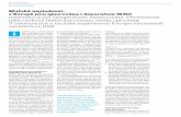 Mužská neplodnost: v Evropě jsou ignorována i doporučení ...androcz.org/dokumenty/kubicek_Neplodny_muz_-_Terapie_11-18.pdf · 44 Ter 2 lat bakteriální i virové (při příušni-cích),