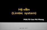 PGS.TS Cao Phi Phong - thuchanhthankinh.com»‡ viền- cập nhật... · liên hệ trí nhớ tường thuật(declarative Memory), không trực tiếp trong quá trình cảm