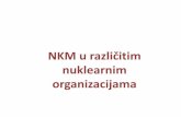 NKM u različitim - kelm.ftn.uns.ac.rs · Medjunarodne organizacije. 5 Korisnici i nosioci nuklearnog znanja (stakeholders) NKM U R&D ORGANIZACIJAMA. TIPOVI R & D FUNKCIJE Fundamentalna