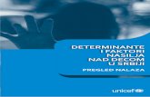 DETERMINANTE - UNICEF Srbija · nasilje u porodici).7 \ Migracije, a posebno prinudne i loše organizovane, povećavaju rizik od raznih vidova nasilja nad decom, posebno kada nisu