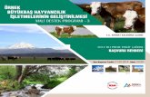 T.C. SERHAT KALKINMA AJANSI - erenoglu.com.tr · Bunlara paralel olarak bölgedeki süt sığırcılığı başta olmak üzere büyükbaş hayvancılık sektörünün geliştirilmesi,