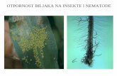 OTPORNOST BILJAKA NA INSEKTE I NEMATODE - agrif.bg.ac.rs b na insekte i... · Specifične sobine insekata vezane za otpornost biljaka: - Nadzemni način kopnenog života; - Česta