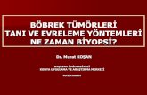 BÖBREK TÜMÖRLERĠ TANI VE EVRELEME YÖNTEMLERĠ NE …uroonkoloji.org/pdf/konya_sunumlar/Bobrek_Tumoru_Sunum_5Mart.pdf · Epidemiyolojik özelikler Tüm tümörler içinde böbrek