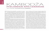 Reportaža KAMBODŽA - cambodia-bee.orgcambodia-bee.org/files/documents/tomaz_ostir_kambodza_pcelarenje_apis... · 26 PČELARSKI ŽURNAL • 10 • januar-mart 2011. Reportaža P