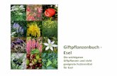 Giftpflanzenbuch - Eselesel-edenbauer.at/files/Giftpflanzen-2018_ohne-Logo.pdf · Saponine und Pteridin, 2-3kg täglich über2 Monate ist die tödliche Dosis Auch im Heu noch Giftig!