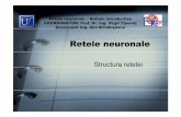Structura retelei - brindusescu.org file• Unitati functionale • Arhitectura • Functionare • Invatare Retele neuronale – Notiuni introductive COORDONATOR: Prof. Dr. Ing. Virgil