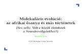 Molekuláris evolúció: az afrikai osanya és más történetek˝gezameszena.web.elte.hu/wp-content/pdf/KomplexSzem.pdf · Molekuláris evolúció: az afrikai osanya és más történetek˝