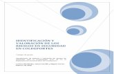 IDENTIFICACIÓN Y VALORACIÓN DE LOS RIESGOS EN …repository.udistrital.edu.co/bitstream/11349/13595/1/T.G. SST3-02-2018 FINAL.pdf · comprometerán, no participaran y la retroalimentación