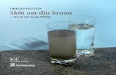 dricksvatten – sköt om din brunn dricksvatten Sköt om din ...brunnsborrarna.com/pdf/skot_om_din_brunn.pdf · Flera orsaker till torr brunn Att brunnen sinar inträffar vanligtvis