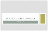 SOCIOLOGIE URBANA - arh.spiruharet.roarh.spiruharet.ro/images/MIRELA/AN_4/SOCIOLOGIE_2/SOCIOLOGIE_URBANA... · stat-natiune” (Bauman, 2011:54) ... Separarea societatii nationale