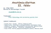 Anatómia élettan - physiology.elte.huphysiology.elte.hu/eloadas/pszicho_elettan/Elettan_anat1_endokrinologia_2018.pdf · A pajzsmirigy túlműködése (hyperthyreosis) testsúlycsökkenéssel,