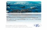 Trillemarka-Rollagsfjell naturreservat - ver-di.eu · nasjonalt eller internasjonalt nivå (Kamfjord 2001). I reiselivssammenheng dreier markedsføring seg om å kartlegge de reisendes