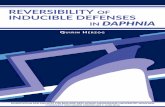 Reversibility of inducible defenses in Daphnia · reversibility of in daphnia inducible defenses quirin herzog dissertation der fakultÄt fÜr biologie der ludwig-maximilians-universitÄt
