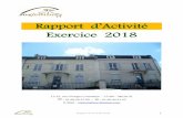 É+2018... · Rapport d’Activité 2018 3 S ommaire Le mot de la Direction