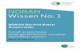 NORAH Wissen No: 1 - laermstudie.de · Üniversitesi’nin Bilişsel Psikoloji ve Gelişim Psikolojisi bölümünde görev yapmaktadır. Sayın Klatte 15 yılı aşkın süredir gürültünün