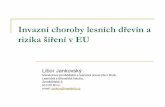 Invazní choroby lesních dřevin a rizika šíření v EUeagri.cz/public/web/file/536410/Invazni_choroby_drevin_a_rizika_jejich... · tropických oblastí ... Největší problémy