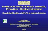 Produção de Vacinas no Brasil: Problemas, Perpectivas e ... · Produção de Vacinas no Brasil: Problemas, Perpectivas e Desafios Estratégicos Monofosforil Lipídio A (MPLA) do