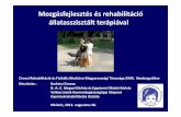 Mozgásfejlesztés és rehabilitáció állatasszisztált terápiávaldocs.kmcongress.com/rehab2013/barkoczi_emese.pdf · Mozgásfejlesztés és rehabilitáció A motorikus képességek