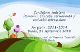 Consfătuiri Județene Domeniul: Educație permanentă și ...liceulmoisilbuzau.ro/Joomla341/documents/consfatuiri_2018.pdf · de arte şi meserii, pentru clasa a X-a, ciclul inferior