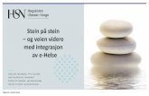 Stein på stein og veien videre med integrasjon av e-Helse20170203105326/H.Solli og I... · Høgskolen i Sørøst-Norge Stein på stein – og veien videre med integrasjon av e-Helse