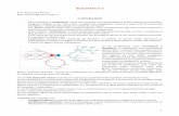 BIOCHIMICA II - meduniupo1.altervista.orgmeduniupo1.altervista.org/wp-content/uploads/2018/04/Biochimica-II-parte-1.pdf · Nel citoplasma avviene la fase anabolica, la sintesi delle