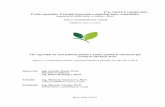 Vliv agrouhlí na - eagri.czeagri.cz/public/web/file/628852/ZpravaBiocharNPK_2017_2018.pdf · Vliv agrouhlí na růst polních plodin a změny půdních vlastností při vysokých