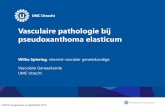 Vasculaire pathologie bij pseudoxanthoma elasticum - cvgk.nl · Vasculaire pathologie bij pseudoxanthoma elasticum Wilko Spiering, internist-vasculair geneeskundige Vasculaire Geneeskunde