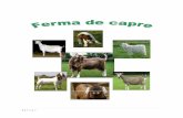 Ferma de capre - business-global.ro file3 | Page caprinele, împreună cu alte specii, pot contribui în mare măsură la asigurarea unei bune părţi din deficitul de proteină din