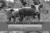 PESTA PORCINĂ AFRICAN - bz.prefectura.mai.gov.ro · moartea subita a animalelor febra ridicata inrosirea pielii (rosu violaceu) porc mort mistret mort splenomegalie hemoragii renale