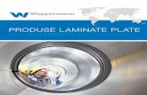 PRODUSE LAMINATE PLATE - wuppermann.de¼ren/WM... · Platbandele noastre sunt folosite şi în producţia proprie de ţevi, profile şi com-ponente metalice. Clienţi din Europa şi