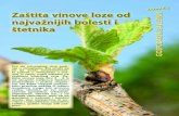 mali Zaštita vinove loze od najvažnijih bolesti i ... · 1 sia 2012 gospodarski list 37 Zaštita vinove loze od najvažnijih bolesti i GOSPODARSKI SAVJETNIK štetnika mali Put do