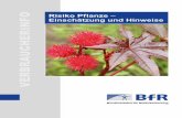 Risiko Pflanze - Einschätzung und Hinweise · 6 Risiko Pflanze – Einschätzung und Hinweise Beispiele für ungiftige Pflanzen sind die rote Vogelbeere (Bild 2), die blaue Mahonienbeere