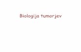 Biologija tumorjev - studentski.net · –Frameshift mutacije-premik bralnega okvirja: izguba ali pridobitev 1 ali 2 nukleotidov spremeni bralni okvir, kar pomeni, da so vsi sledeči
