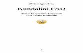 Fragen und Antworten zum Thema Kundalini · 3 Praxis-Fragen und Antworten zum Thema Kundalini mit Edgar Hofer (OWK, Swami Devananda Naatha, 2015)