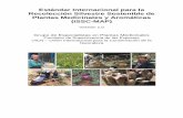 Estándar Internacional para la Recolección Silvestre ... · Estándar Internacional para la Recolección Silvestre Sostenible de Plantas Medicinales y Aromáticas (ISSC-MAP) Versión