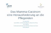 Das Mamma-Carzinom eine Herausforderung an die Pflegenden · 2 Ines Daldrup, Uta Hauschild Onkologie-Weiterbildung 05.10.2010 Universitätsklinikum Münster Übersicht: Einführung