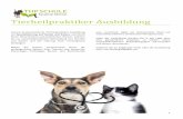 Titel hier eintragen - thp-schule.de · 1 Tierheilpraktiker Ausbildung Unsere praxisorientierte Tierheilpraktiker Ausbildung mit Spezialisierung auf Hunde und Katzen vermittelt Ihnen