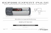 ECP200 EXPERT PULSE - pego.it · Kalibrierung mit einem externen Thermometer durch. STANDARDAUSSTATTUNG FÜR DIE MONTAGE UND DEN GEBRAUCH Das elektronische Steuergerät ECP200 EXPERT