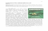ENDODONTİK MİKROBİYOLOJİ - drmurataydin.comdrmurataydin.com/endodontik-mikrobiyoloji-1.pdf · sırasında 'genel tıbbi mikrobiyoloji' bilgisi ile kolayca açıklanamayacak mekanizmalar