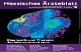 Hessisches Ärzteblatt - laekh.de · „Kammer 4U“– Erster Medizinstudierendentag der Landesärztekammer Hessen..... 696 Mensch und Gesundheit Antibiotika verantwortungsvoll einsetzen