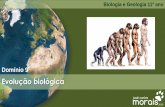 Evolução biológica e Sistemática dos seres vivosjcmorais.com/documentos/BioGeo11_Evolucao.pdf · Evolução biológica e Sistemática dos seres vivos Unidade 7 Biologia e Geologia