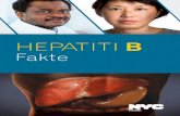 HEPATITI B B - nyc.gov · Disa medikamente që jepen pa recetë, të tilla si acetaminofen (Tylenol), vitamina, suplemente të tilla si hekuri, bimët mjekësore apo “barnat popullore”