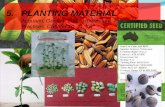 5. PLANTING MATERIAL - Wartabepe Online · Di Jepang : ditanam dari bibit grafting berbuah 6 bulan –1 tahun tinggi 1,5 –2 m. Budding