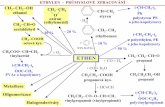 CH3 CH2 OH CH 2 CH=CH2 Ph - web.natur.cuni.czvohlidal/ETHYLEN.pdf · ETHYLEN - PRŮMYSLOVÉ ZPRACOVÁNÍ CH2=CH2 polyethyleny lineární 1-alkeny polymerizace oligomerizace, proces