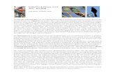 Kalifornien & Arizona, U.S.A. 24.4. - 14.5 - hoopoe.de fileKalifornien & Arizona, U.S.A. 24.4. - 14.5.2016 Julia Bayer, Christian Stohl Das Ziel der Individualreise war die Vogelbeobachtung