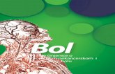 Bol - uitbs.org.rsuitbs.org.rs/wp-content/uploads/2017/11/bol_brosura1.pdf · KlasifiK acija bola i mehanizmi nastanKa bola Bol se može klasifikovati na više načina, a naj-češće,